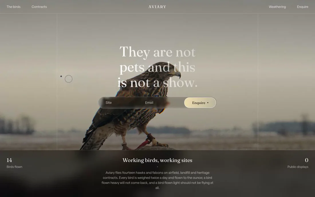 Aviary — Working Falconry hero section